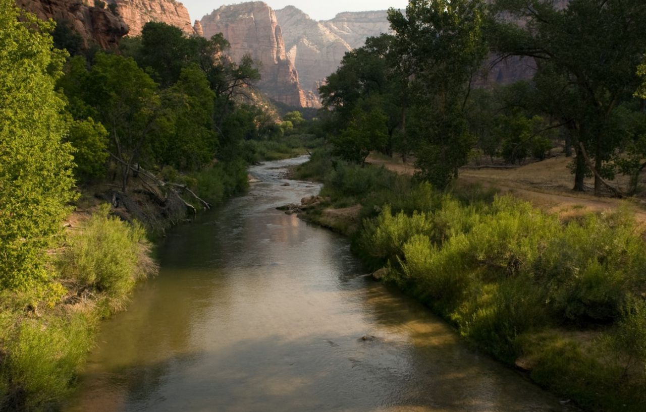 Zion Lodge Springdale Kültér fotó